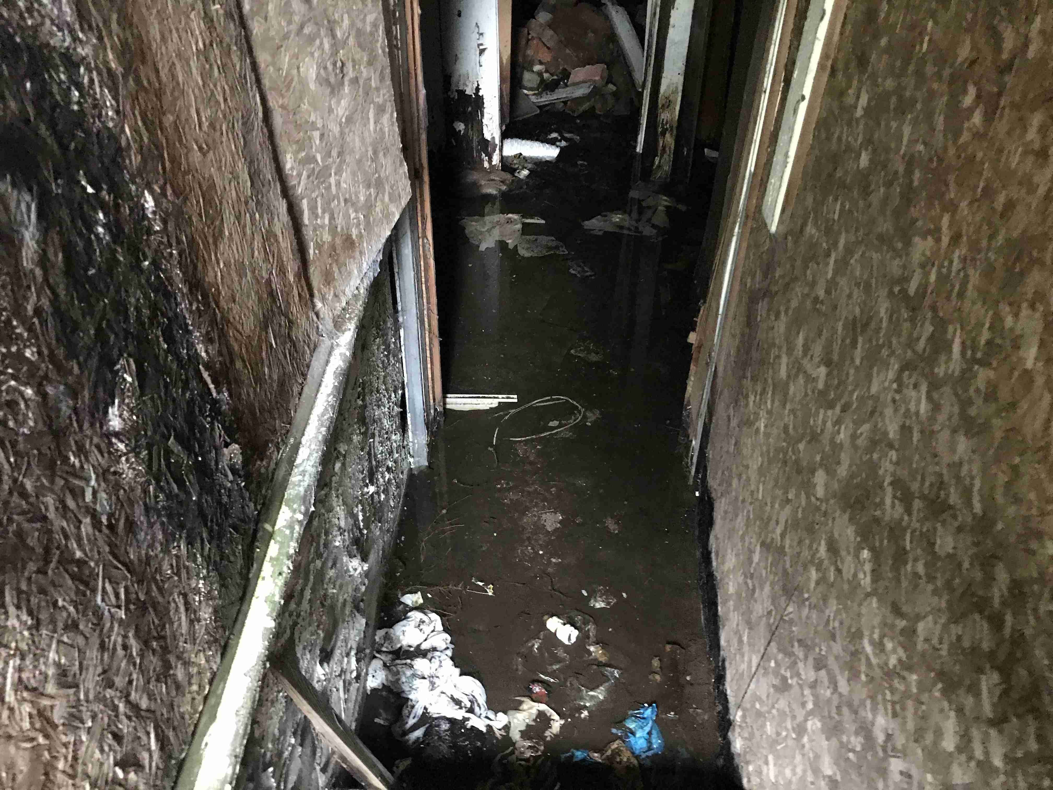 Photo Sep 09, 11 14 38 AM.jpg